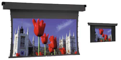 Electric Screens: Tensioned Dual Masking Electrol